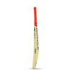 N-7000 Premium Cricket Bat - Image 2